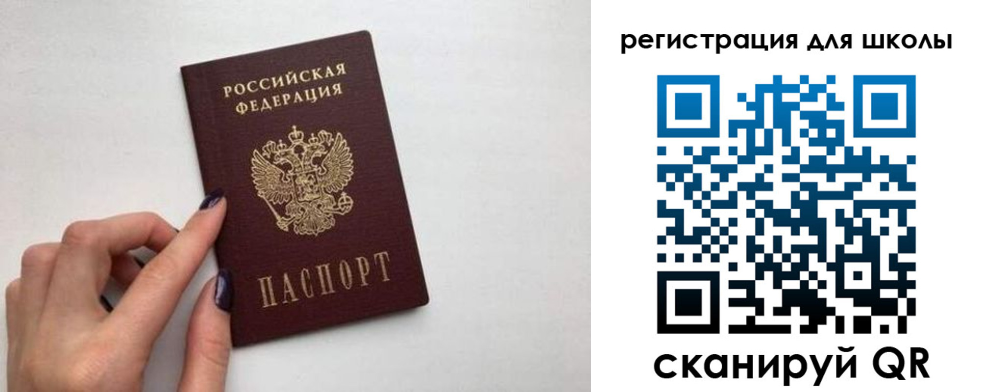 прописка поиск в Ермолино